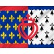 Flag of Region Pays-de-la-Loire in France, Patriotic Flags, Unique Design Print, Flags for Indoor & Outdoor Use - Imagine 2