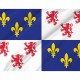 Flag of Region Picardie in France, Patriotic Flags, Unique Design Print, Flags for Indoor & Outdoor Use - Imagine 2