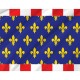 Flag of Region Touraine in France, Patriotic Flags, Unique Design Print, Flags for Indoor & Outdoor Use - Imagine 2