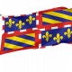 Flag of Region of Burgundy, Patriotic Flags, Unique Design Print, Flags for Indoor & Outdoor Use - Imagine 1