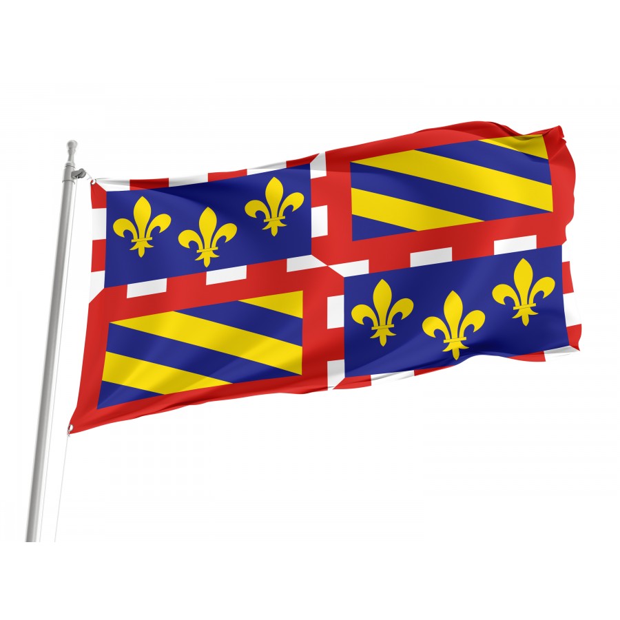 Flag Of Region Of Burgundy, Patriotic Flags, Unique Design Print, Flags For Indoor & Outdoor Use - High Quality France for Indoor and Outdoor Use