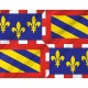 Flag of Region of Burgundy, Patriotic Flags, Unique Design Print, Flags for Indoor & Outdoor Use - Imagine 2