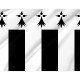 Flag of Rennes, Patriotic Flags, Unique Design Print, Flags for Indoor & Outdoor Use - Imagine 2