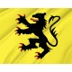 Flag of Representing The Lion of Flanders, Patriotic Flags, Unique Design Print, Flags for Indoor & Outdoor Use - Imagine 2