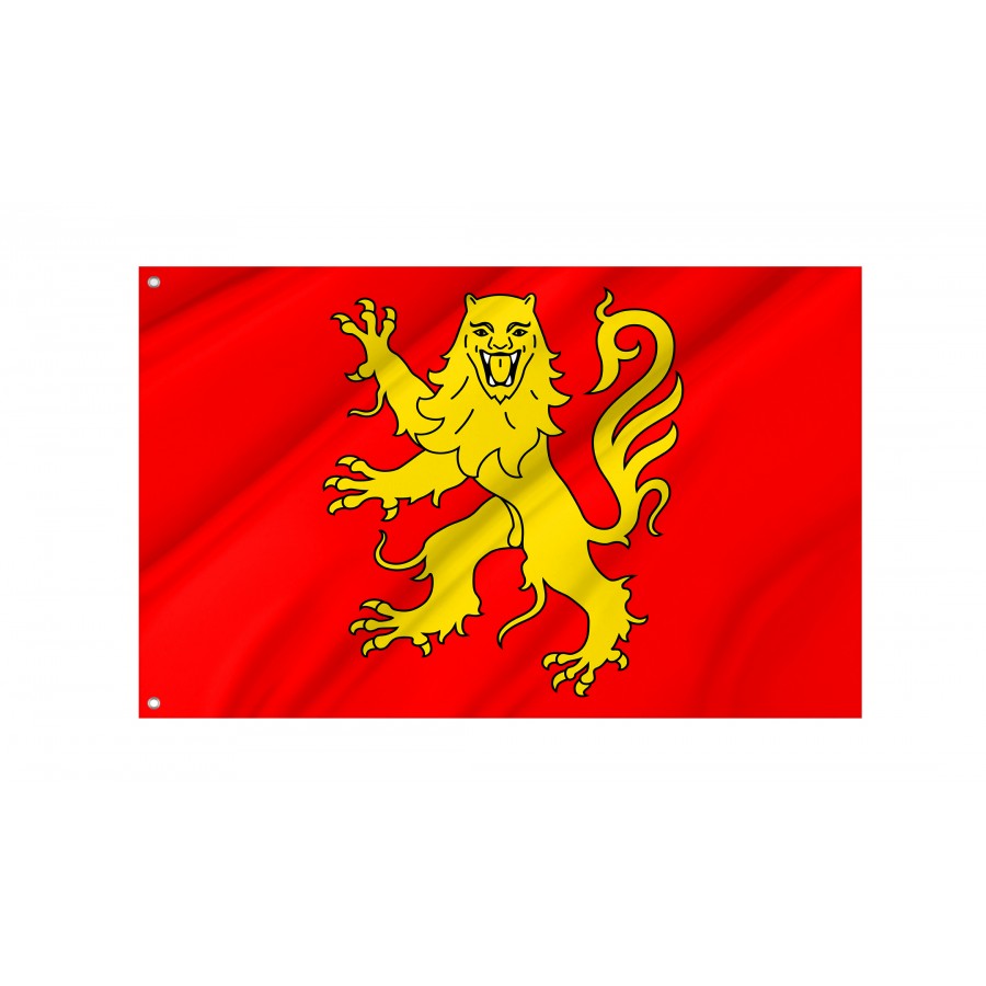 Flag Of Rouergue, Patriotic Flags, Unique Design Print, Flags For Indoor & Outdoor Use - High Quality France for Indoor and Outdoor Use