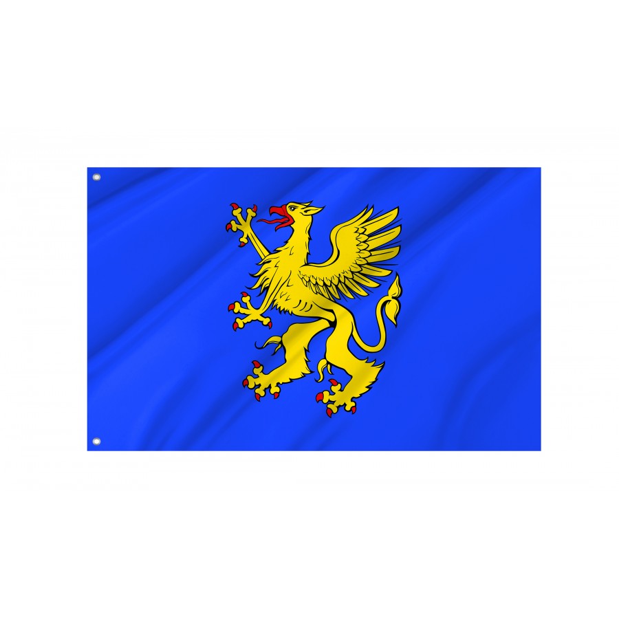 Flag Of Saint-Brieuc, Patriotic Flags, Unique Design Print, Flags For Indoor & Outdoor Use - High Quality France for Indoor and Outdoor Use