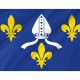 Flag of Saintonge, Patriotic Flags, Unique Design Print, Flags for Indoor & Outdoor Use - Imagine 2