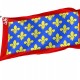 Flag of Sarthe, Patriotic Flags, Unique Design Print, Flags for Indoor & Outdoor Use - Imagine 1