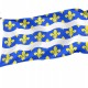 Flag of Seine-et-Marne, Patriotic Flags, Unique Design Print, Flags for Indoor & Outdoor Use - Imagine 1
