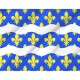 Flag of Seine-et-Marne, Patriotic Flags, Unique Design Print, Flags for Indoor & Outdoor Use - Imagine 2