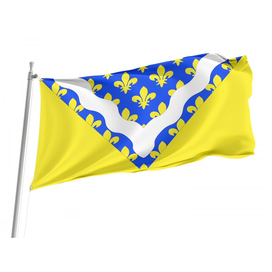 Flag Of Val-De-Marne, Patriotic Flags, Unique Design Print, Flags For Indoor & Outdoor Use - High Quality France for Indoor and Outdoor Use