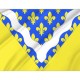 Flag of Val-de-Marne, Patriotic Flags, Unique Design Print, Flags for Indoor & Outdoor Use - Imagine 2