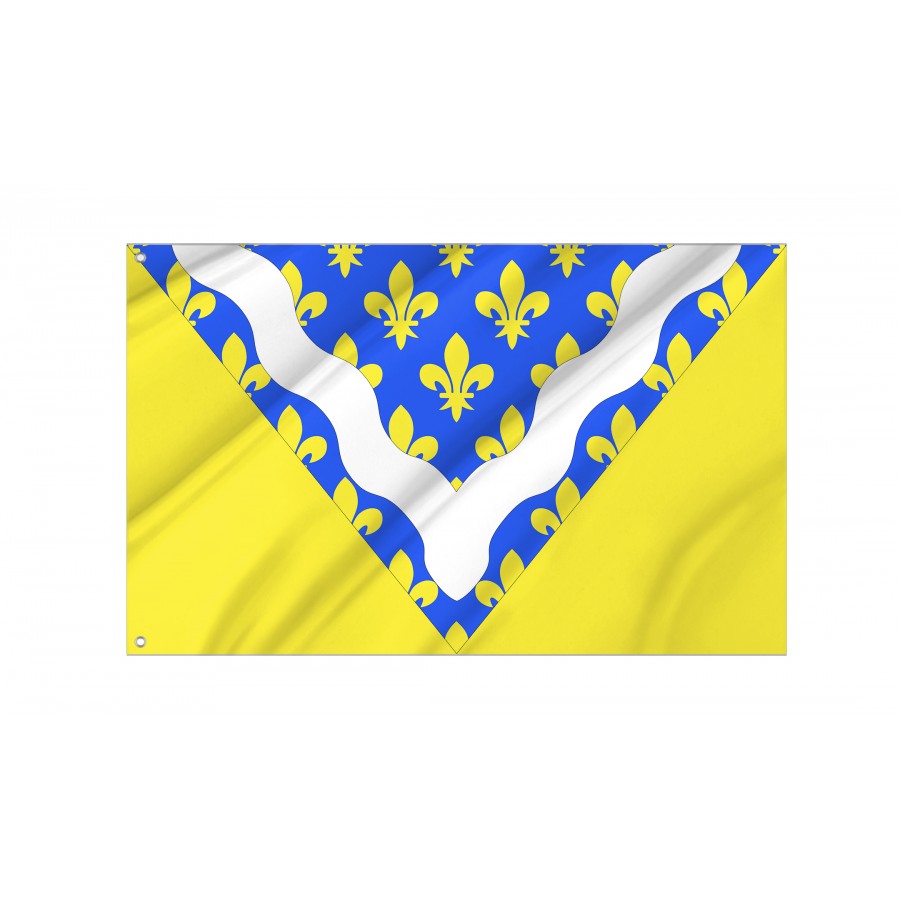 Flag Of Val-De-Marne, Patriotic Flags, Unique Design Print, Flags For Indoor & Outdoor Use - High Quality France for Indoor and Outdoor Use
