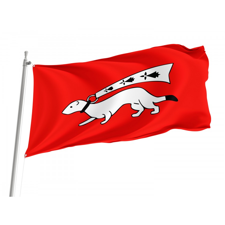Flag Of Vannes, Patriotic Flags, Unique Design Print, Flags For Indoor & Outdoor Use - High Quality France for Indoor and Outdoor Use