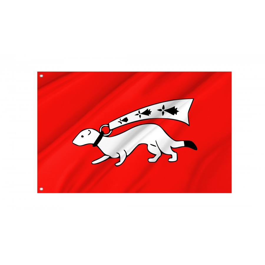 Flag Of Vannes, Patriotic Flags, Unique Design Print, Flags For Indoor & Outdoor Use - High Quality France for Indoor and Outdoor Use