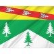 Flag of Vosges in France, Patriotic Flags, Unique Design Print, Flags for Indoor & Outdoor Use - Imagine 2