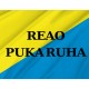 Reao Pukaruha Flag for Indoor & Outdoor Use - Imagine 2