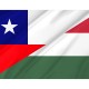 Chile and Hungary Friendship Flag for Indoor & Outdoor Use - Imagine 2