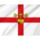 Flag of Koblenz, Patriotic Flags, Unique Design Print, Flags for Indoor & Outdoor Use - Imagine 2