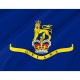 Governor-General of Guyana 1966-1970 Flag for Indoor & Outdoor Use - Imagine 2