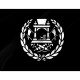 Afghanistan 1901-1919 Flag for Indoor & Outdoor Use - Imagine 2