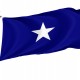 Bonnie Blue Flag for Indoor & Outdoor Use - Imagine 1