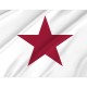 Californian Lone Star 1836 Flag for Indoor & Outdoor Use - Imagine 2