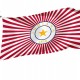 Charles Carroll Indiana State Flag Proposal, Patriotic Flags, Unique Design Print, Flags for Indoor & Outdoor Use - Imagine 1