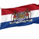Dutch Colony of Suriname 19th Century Flag for Indoor & Outdoor Use - Imagine 1