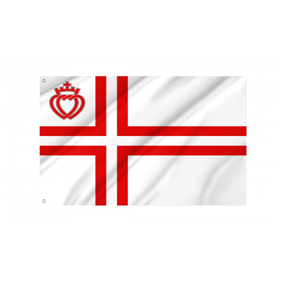 Flag Of Vendéen Croix Scandinave, Patriotic Flags, Unique Design Print, Flags For Indoor & Outdoor Use - High Quality Historical Flags for Indoor and Outdoor Use