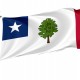 Mississippi 1861-1865 Flag for Indoor & Outdoor Use - Imagine 1