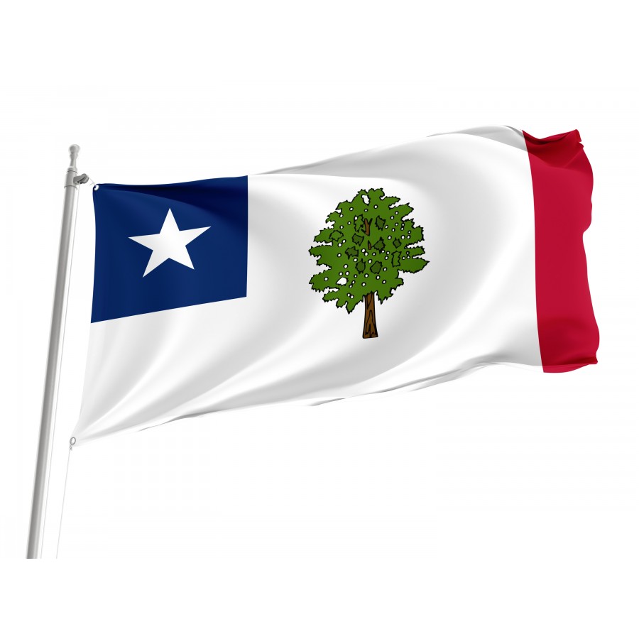 Flag Of Mississippi (1861–1865), Patriotic Flags, Unique Design Print, Flags For Indoor & Outdoor Use - High Quality Mississippi for Indoor and Outdoor Use