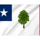 Mississippi 1861-1865 Flag for Indoor & Outdoor Use - Imagine 2