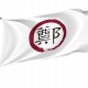 Ming Cheng, Taiwan Flag for Indoor & Outdoor Use - Imagine 1