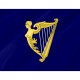 Royal Standard of Ireland (1542-1801) Flag for Indoor & Outdoor Use - Imagine 2