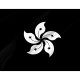 Black Bauhinia Flag for Indoor & Outdoor Use - Imagine 2