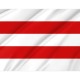 Carpi Flag for Indoor & Outdoor Use - Imagine 2