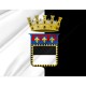 Cesena Flag for Indoor & Outdoor Use - Imagine 2