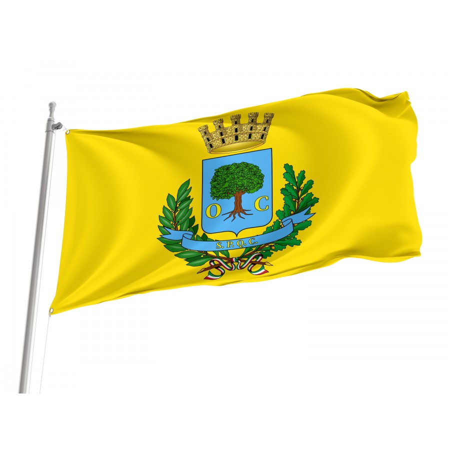 Civitavecchia Flag, Unique Design Print - High Quality Lazio for Indoor and Outdoor Use