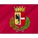 Fidenza Flag for Indoor & Outdoor Use - Imagine 2
