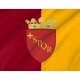 Rome City Flag for Indoor & Outdoor Use - Imagine 2