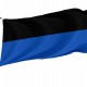 Latina Flag for Indoor & Outdoor Use - Imagine 1