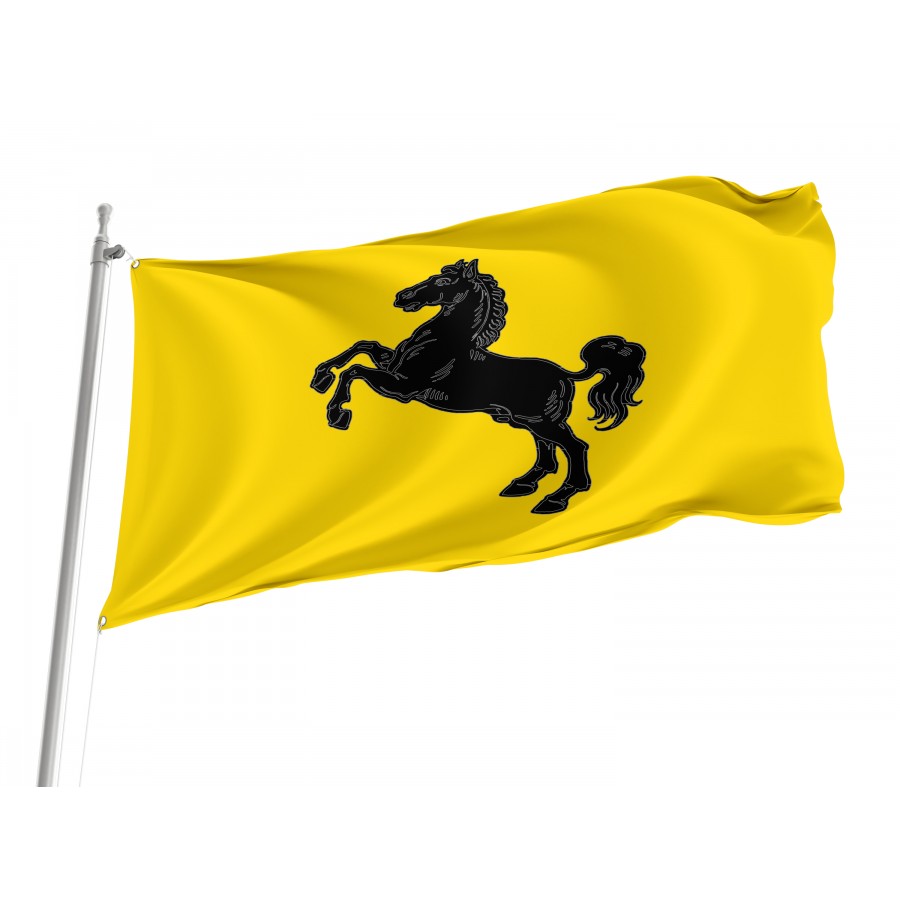 Metropolitan City Of Naples Flag, Unique Design Print - High Quality Campania for Indoor and Outdoor Use