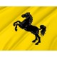 Metropolitan City of Naples Flag for Indoor & Outdoor Use - Imagine 2