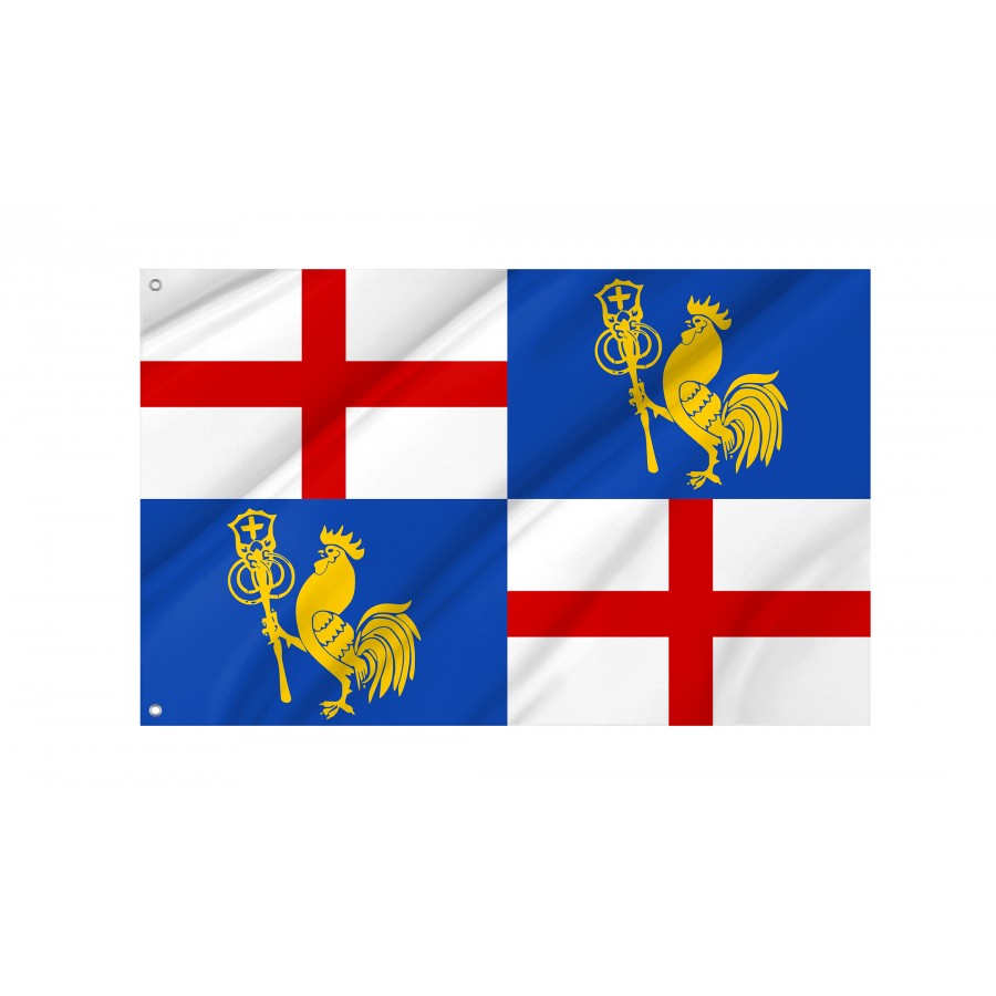 Proposed Flag For Emilia-Romagna, Unique Design Print - High Quality Emilia-Romagna for Indoor and Outdoor Use