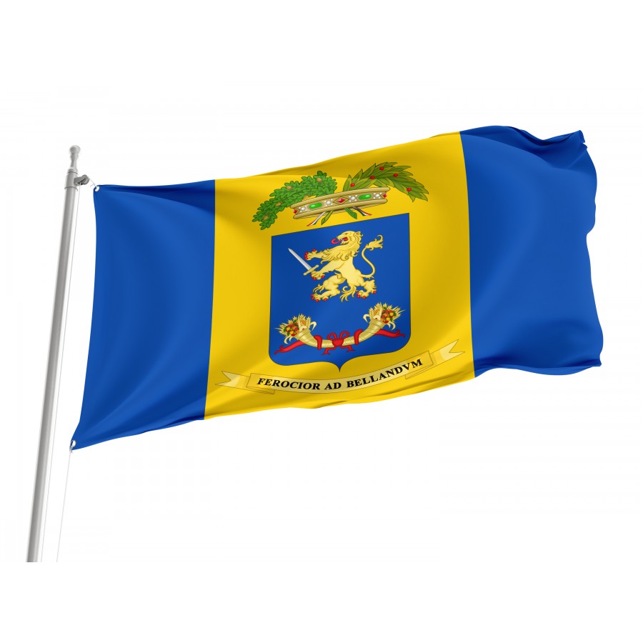 Province Of Frosinone Flag, Unique Design Print - High Quality Lazio for Indoor and Outdoor Use
