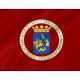 Reggio Calabria Flag for Indoor & Outdoor Use - Imagine 2