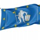 Flag of Alytus County, Patriotic Flags, Unique Design Print, Flags for Indoor & Outdoor Use - Imagine 1