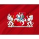 Flag of President of Lithuania, Patriotic Flags, Unique Design Print, Flags for Indoor & Outdoor Use - Imagine 2