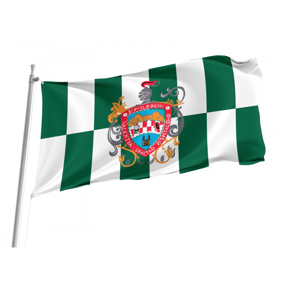 Flag of Chihuahua City, Patriotic Flags, Unique Design Print, Flags for Indoor & Outdoor Use